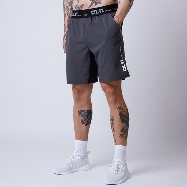 Dino Stretch Shortsit Harmaa