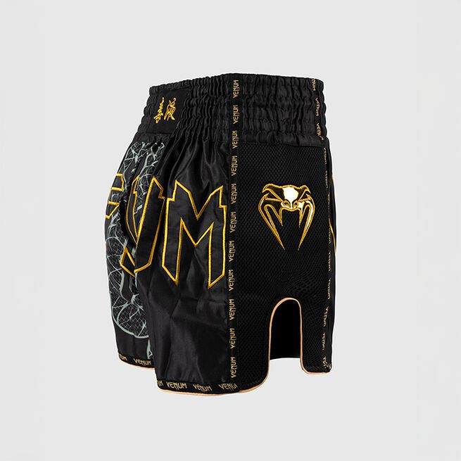 Serpenti Muay Thai-Shortsit Musta Hopea Kulta