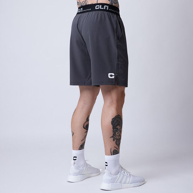 Dino Stretch Shortsit Harmaa