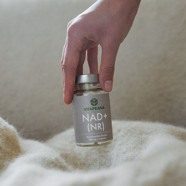 NAD+ 300 mg Nikotinamid Ribosid 30 caps