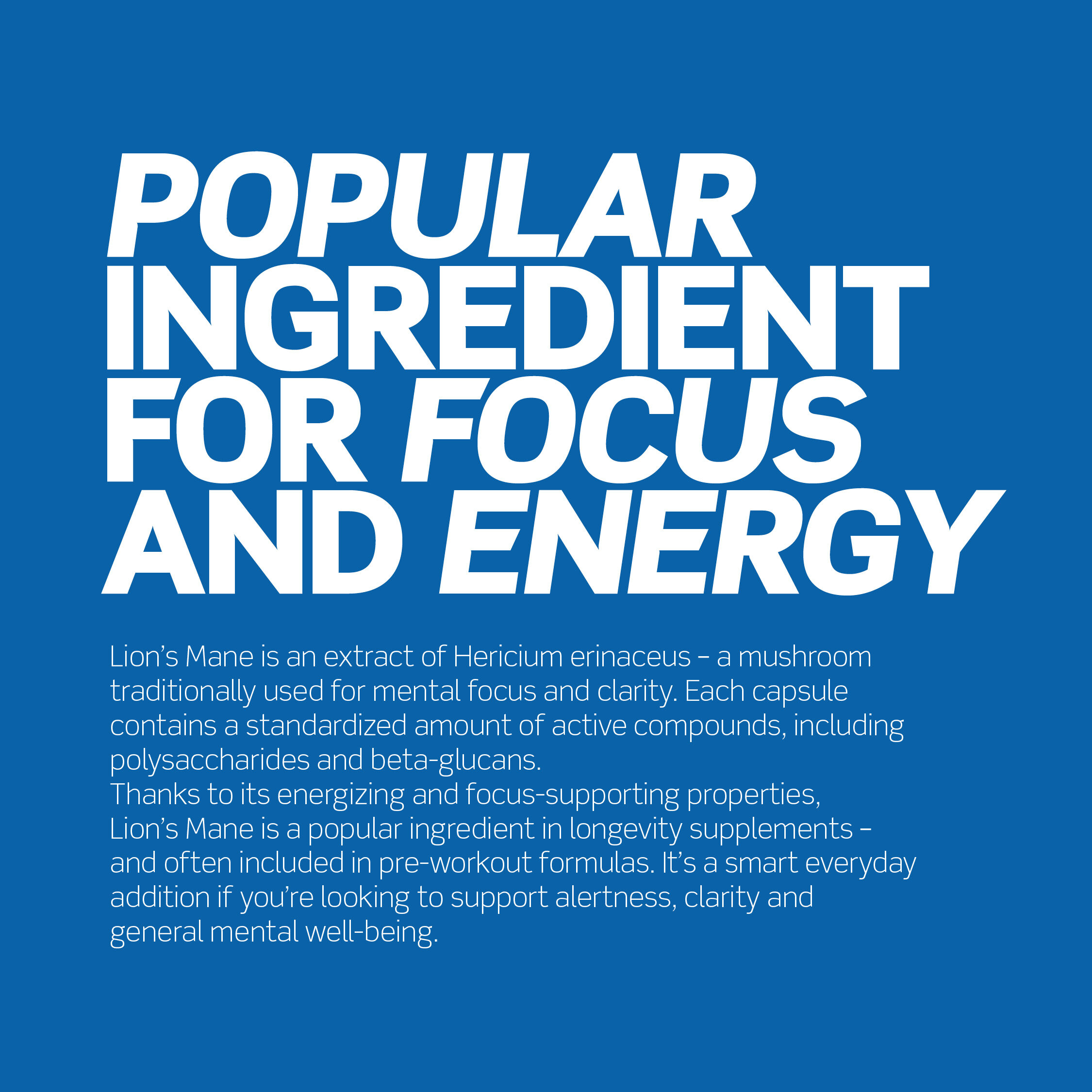 Lion's Mane 120 kapselia