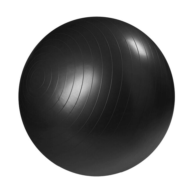 Gym Ball 55 cm 