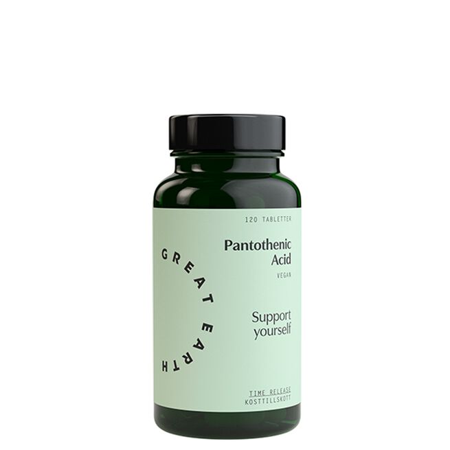 Great Earth Pantothenic Acid, 1000 mg, 120 tablett