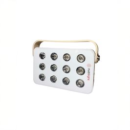 The Robin 2.0  The Robin Punavalolamppu