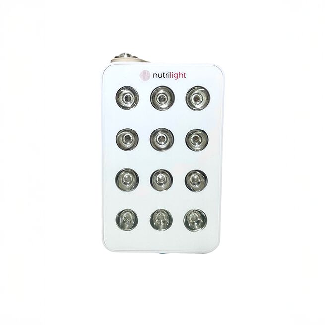 The Robin Punavalolamppu