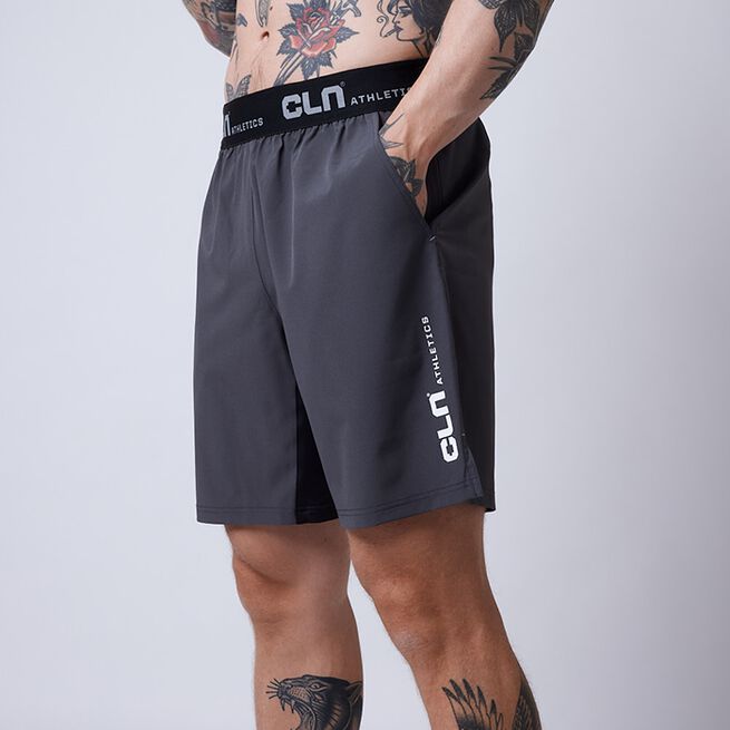 Dino Stretch Shortsit Harmaa