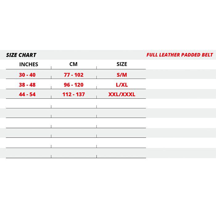 6 Inch Pehmustettu Nostohihna Nahkaa Musta/Kulta
