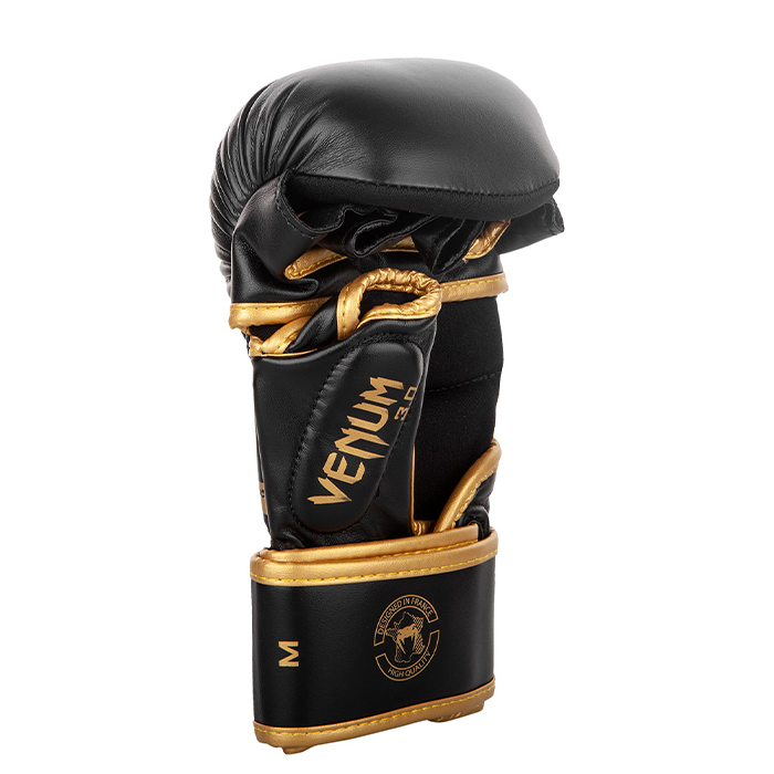 Sparring Gloves Challenger 3.0 Nyrkkeilyhanskat, Musta/Kulta