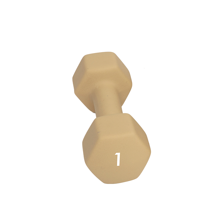 Abilica Käsipaino 1-10 Kg