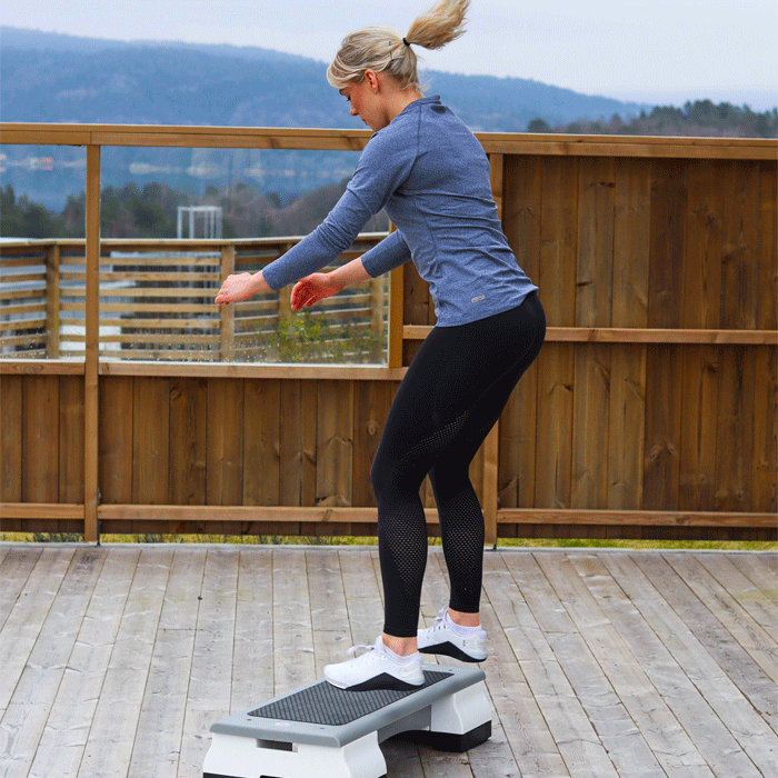 StepUp Pro Step Board