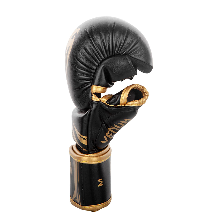 Sparring Gloves Challenger 3.0 Nyrkkeilyhanskat, Musta/Kulta