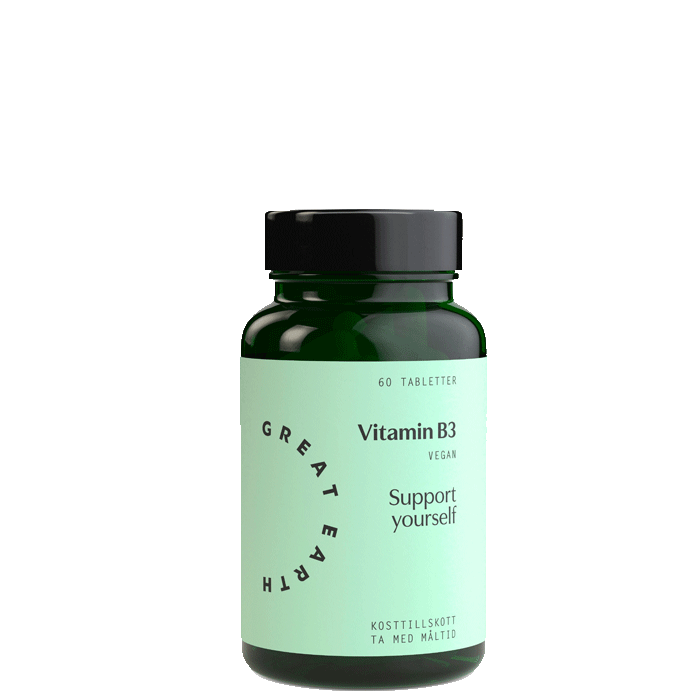 Great Earth Vitamin B3 Niacin 60 tablettia