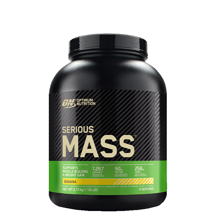 Optimum Nutrition Serious Mass Gainer, 2727 g