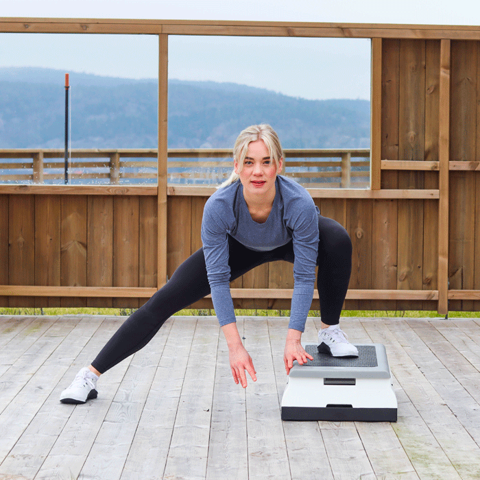 StepUp Pro Step Board