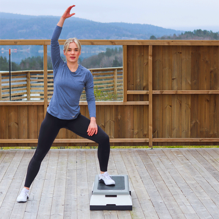 StepUp Pro Step Board