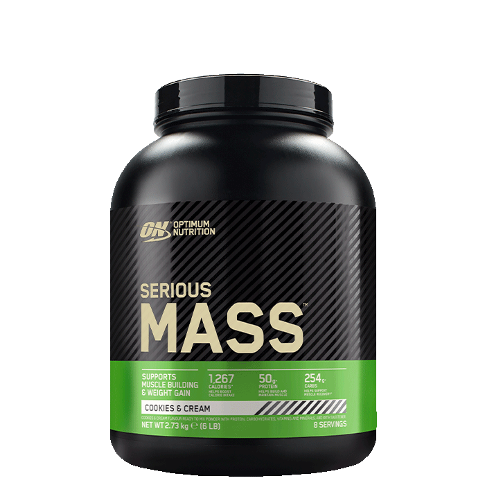 Optimum Nutrition Serious Mass Gainer, 2727 g