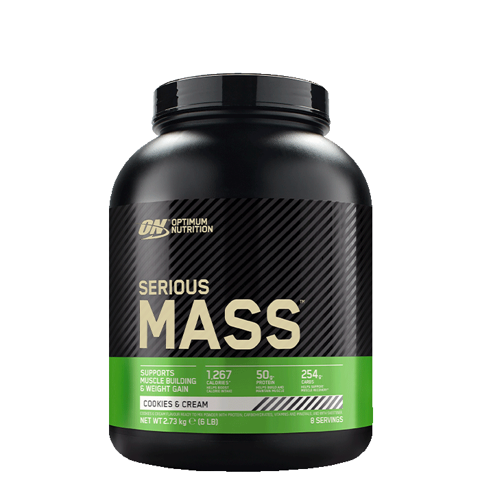 Optimum Nutrition Serious Mass Gainer 2727 g