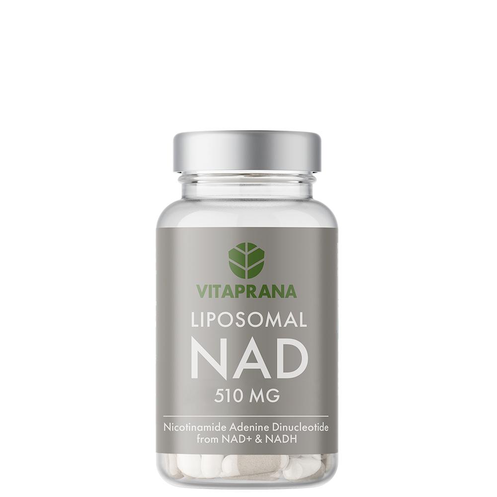 Liposomaalinen NAD+ NADH:lla 510 mg 30 kapselia