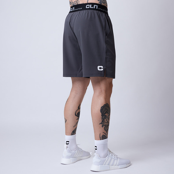 Dino Stretch Shortsit Harmaa