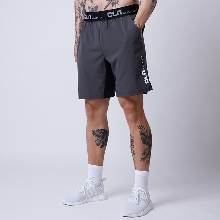 Dino Stretch Shortsit Harmaa