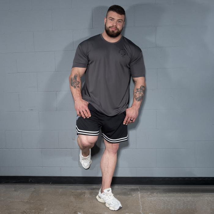 Mesh Standard -paita, harmaa