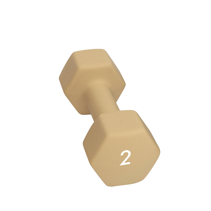 Abilica Käsipaino 1-10 Kg