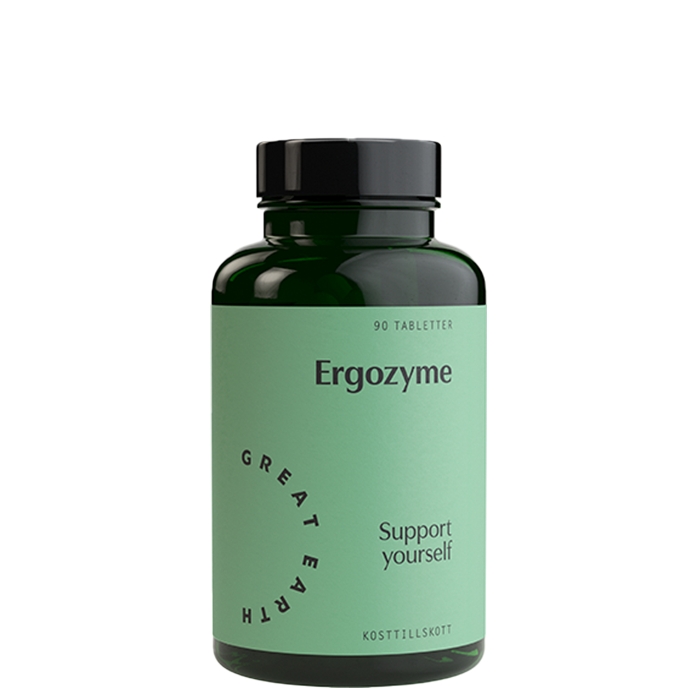 Great Earth Ergozyme 90 tablettia