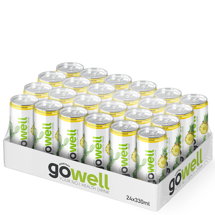 24 x GoWell Functional Drink 24 x 33 cl ananas_kaktus