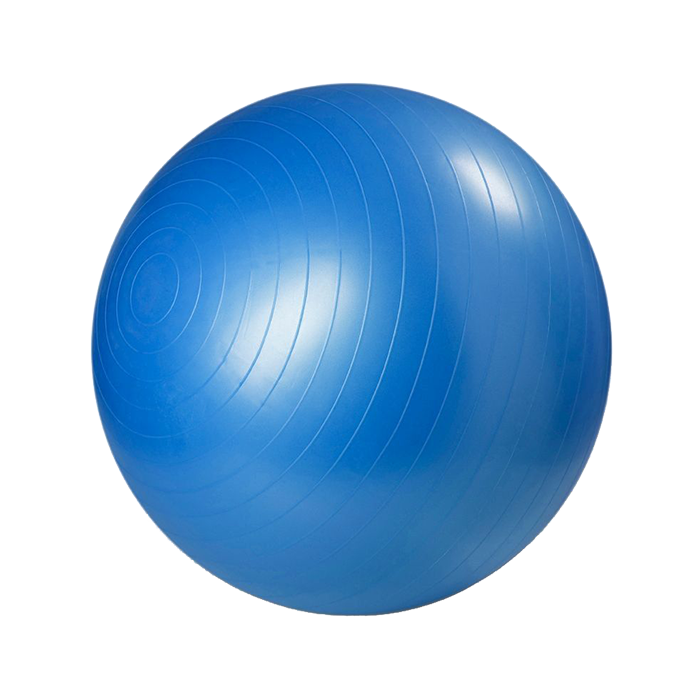 Master Fitness Gym Ball