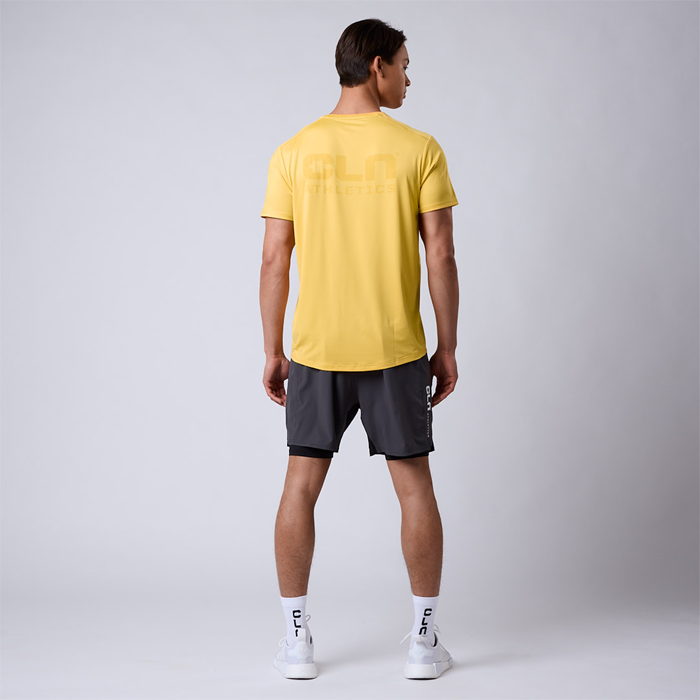 Rep 2 in 1 Shorts Harmaa